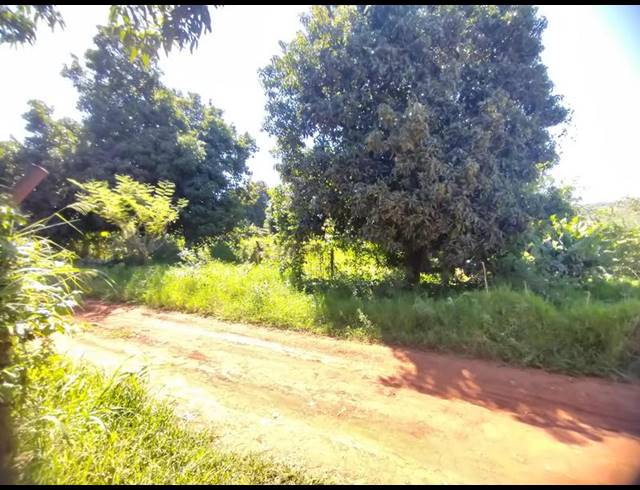 LAND FOR SALE IN DUTHUNI